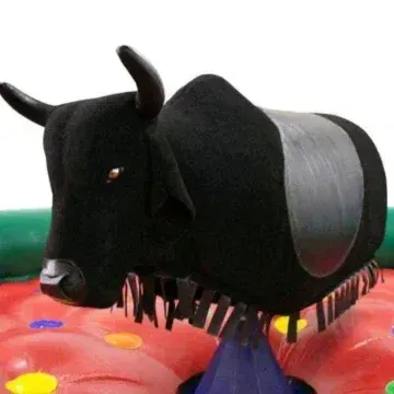 Aluguel de Touro Mecânico para Festas no RJ | VR Festas
